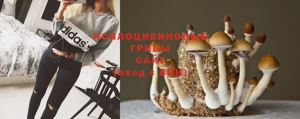 гашишное масло Новозыбков