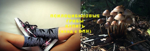 героин Новодвинск