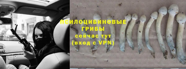 марихуана Новокубанск