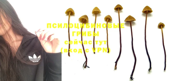 героин Новодвинск