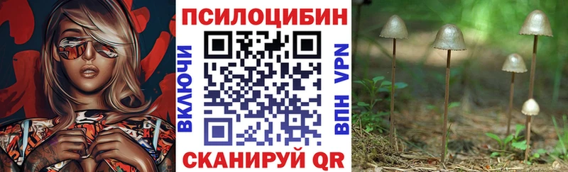 Галлюциногенные грибы Psilocybine cubensis  blacksprut как войти  дарк нет клад  Саратов 